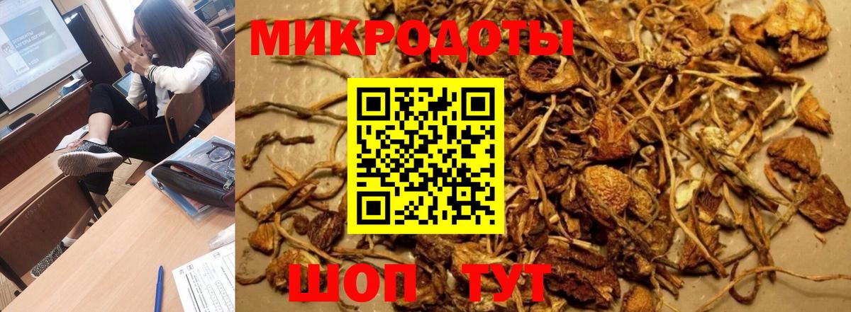 Галлюциногенные грибы мицелий Кириши