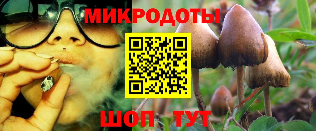 Псилоцибиновые грибы MAGIC MUSHROOMS  Вход с VPN  где найти   Кириши 